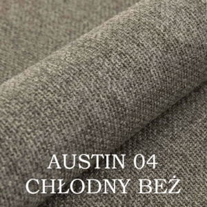 AUSTIN 04
