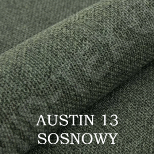 AUSTIN 13
