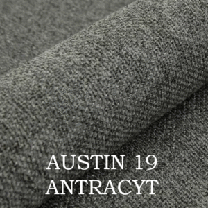 AUSTIN 19