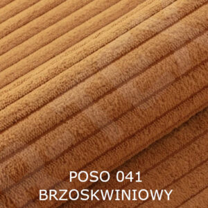 POSO 041